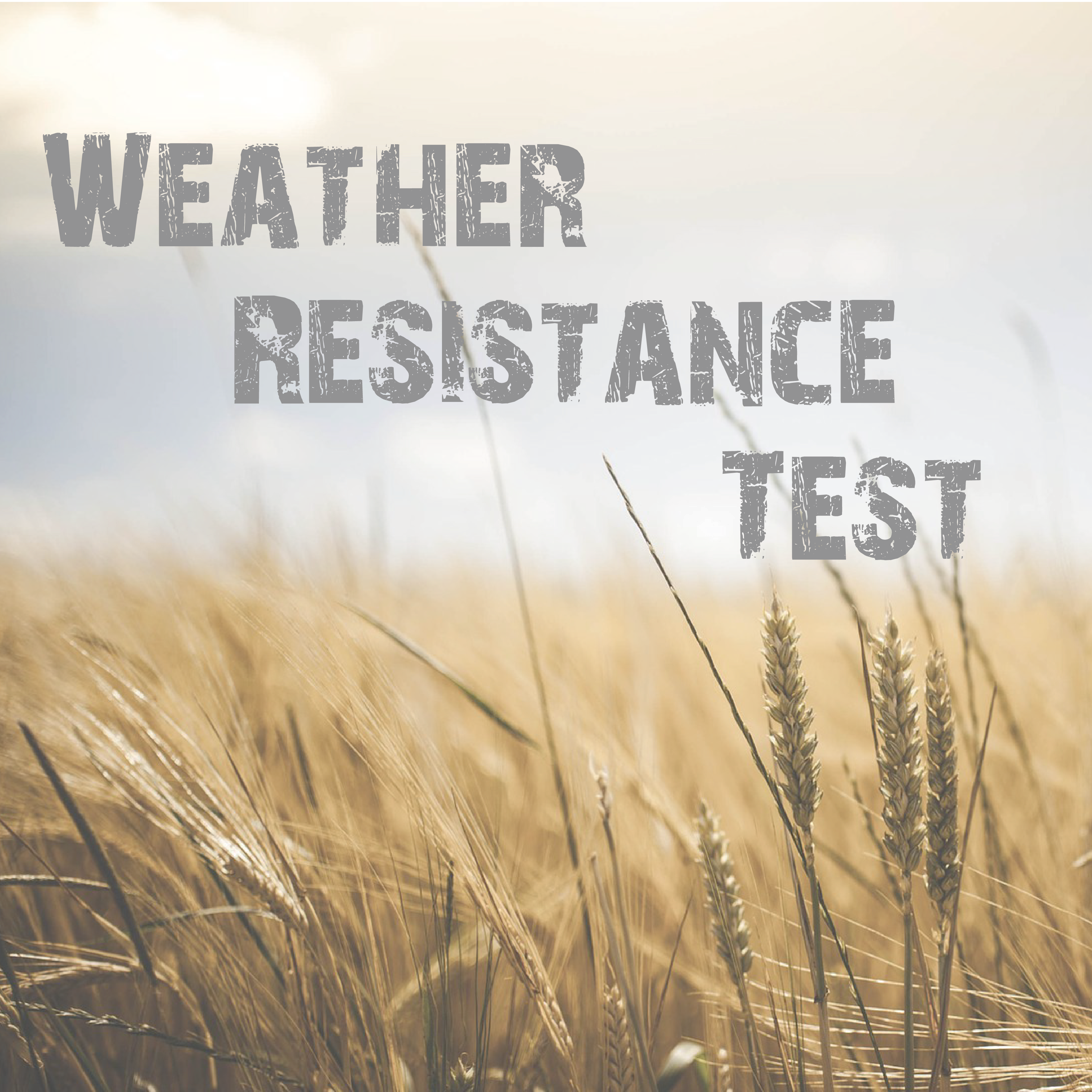 Weather resistance test